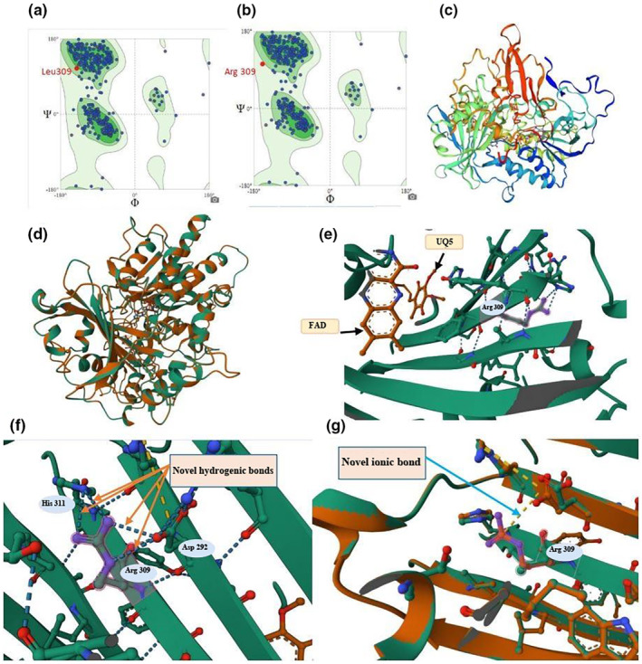 FIGURE 4
