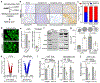 Fig. 2: