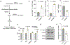 Extended Data Fig. 5: