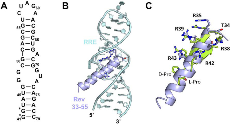 Figure 9.