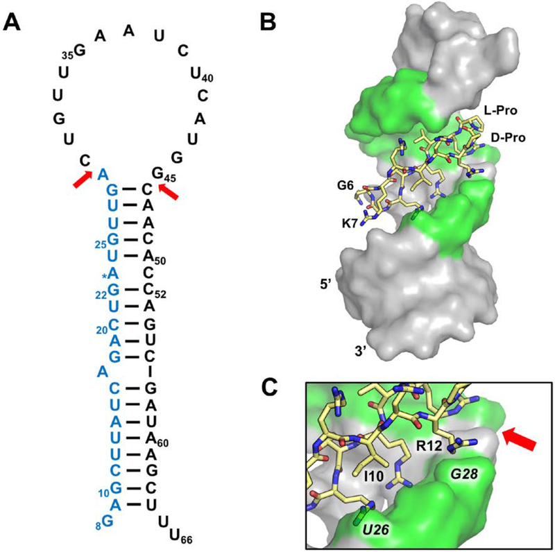 Figure 10.