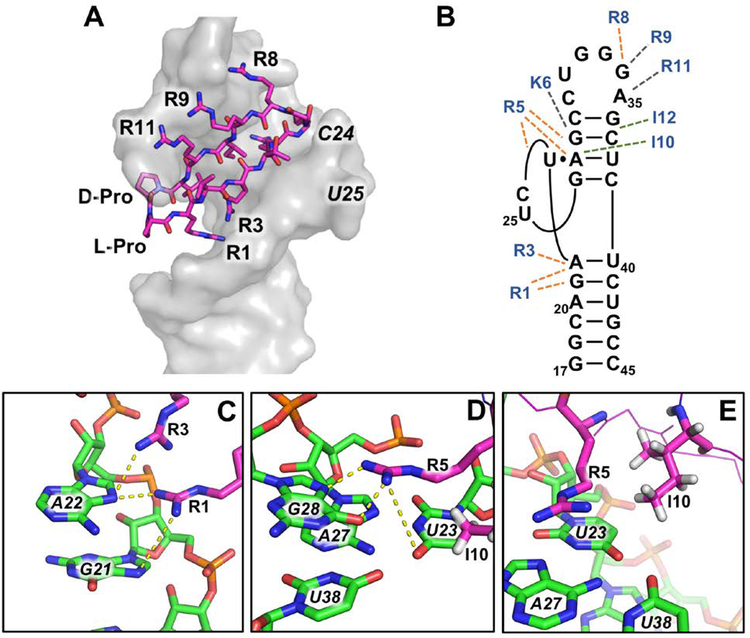 Figure 6.