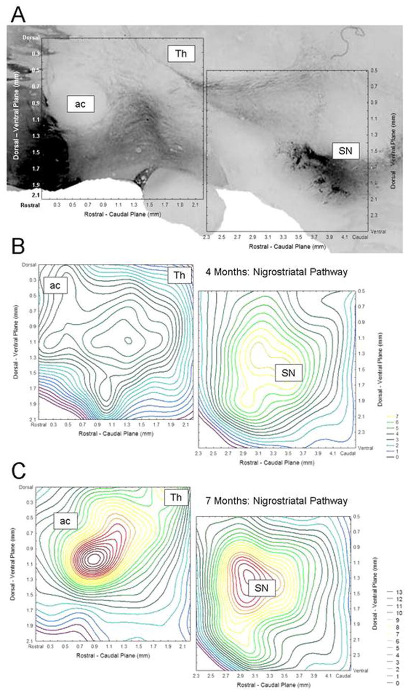 FIGURE 4