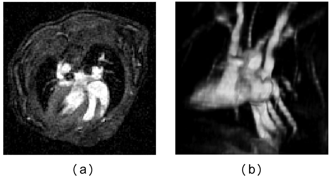 Fig. 11