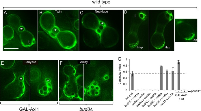 FIG 3