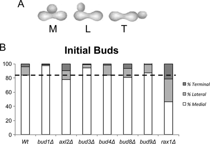 FIG 1