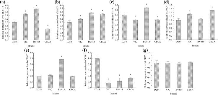 Fig. 4