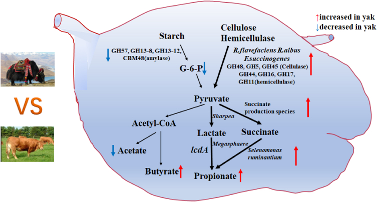 Fig. 7