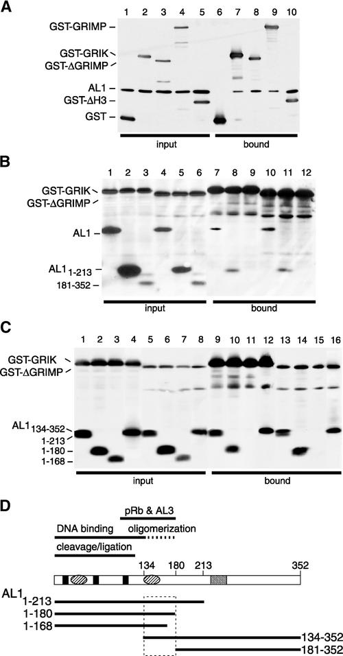 Figure 2.