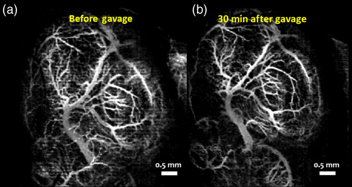 Fig. 9