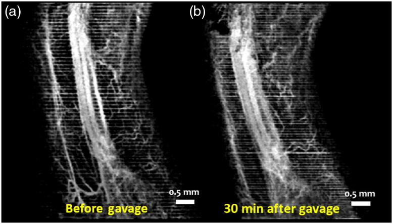 Fig. 10