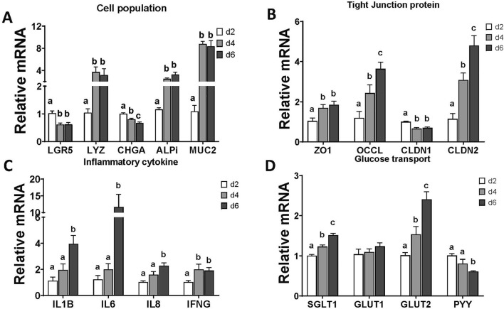 FIGURE 4