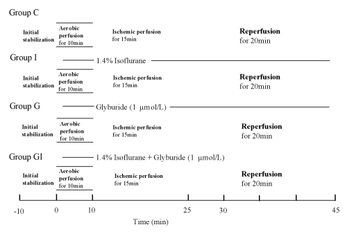 Figure 1)