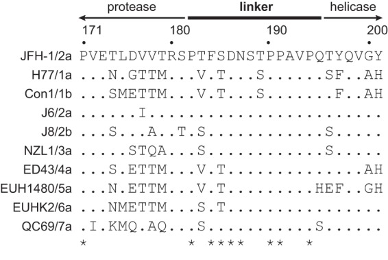 FIG 1