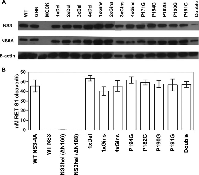 FIG 3