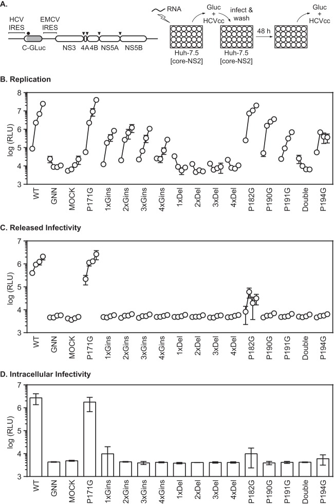 FIG 2