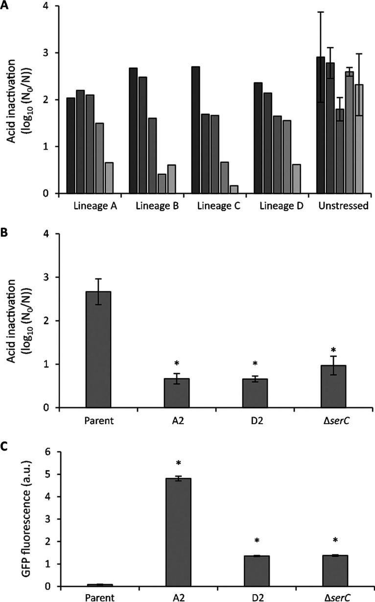 FIG 4