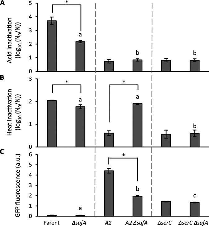 FIG 6