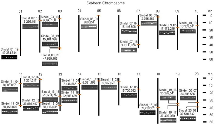 Figure 7