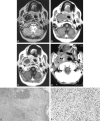 <sc>fig</sc> 1.