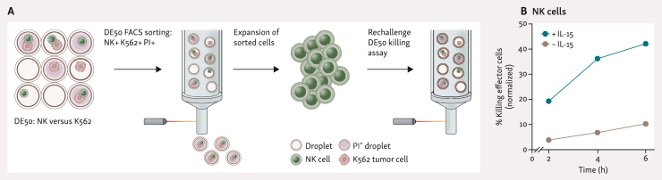 Figure 5