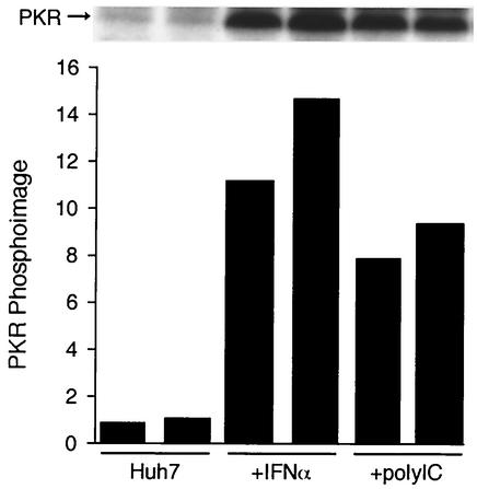 FIG. 5.