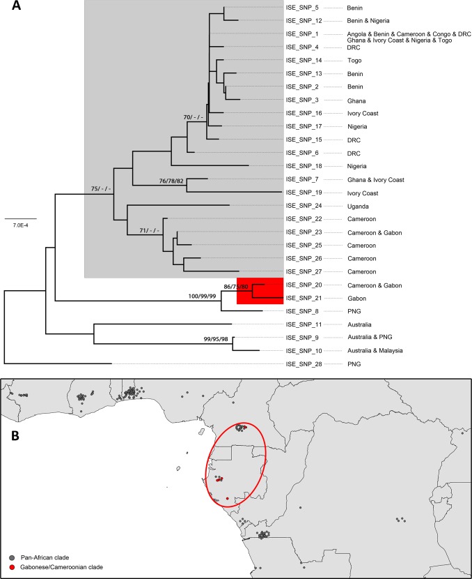 FIG 3