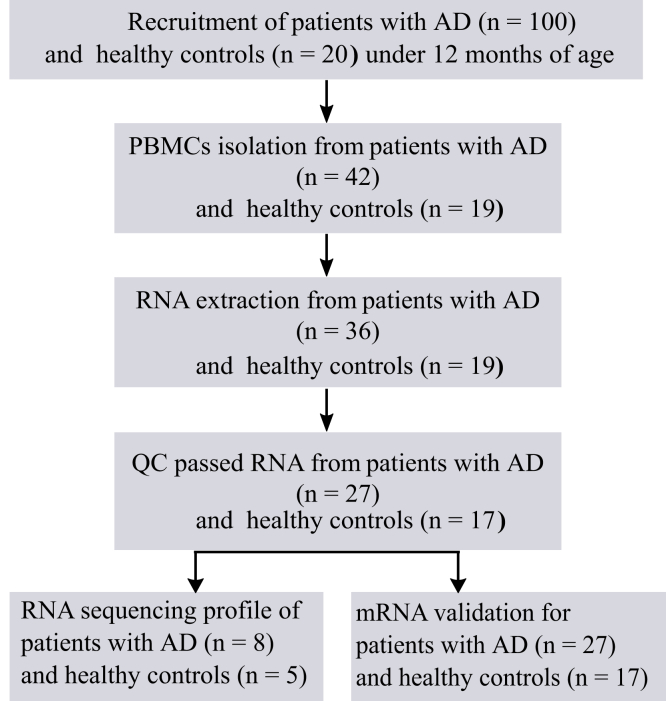 Figure 1