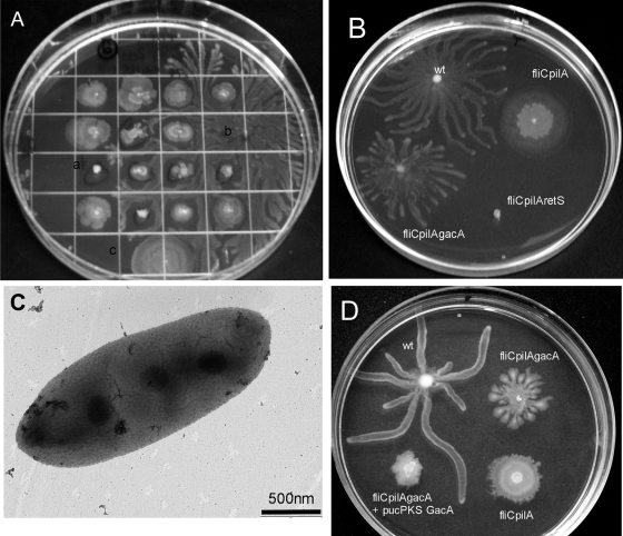 FIG. 4.