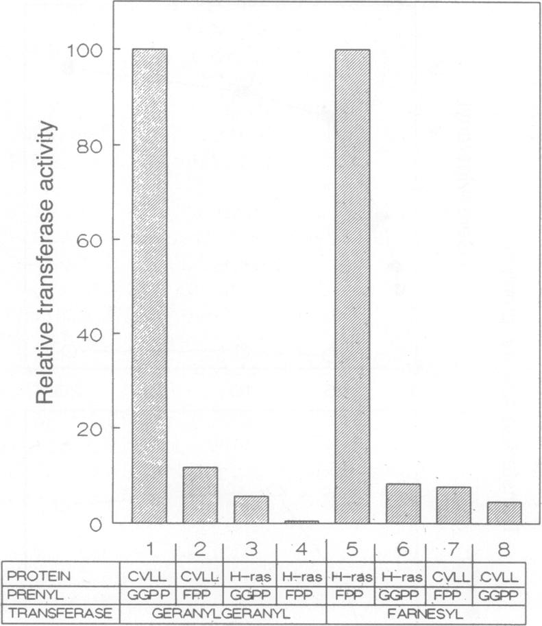 graphic file with name pnas01069-0363-a.jpg