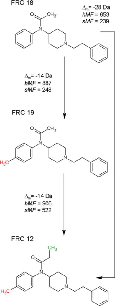 Scheme 2