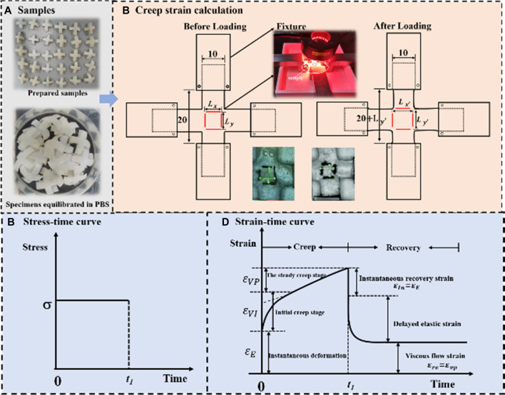 graphic file with name FBIOE_fbioe-2022-1085062_wc_abs.jpg