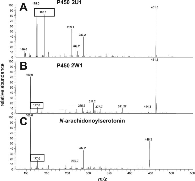 FIGURE 9.