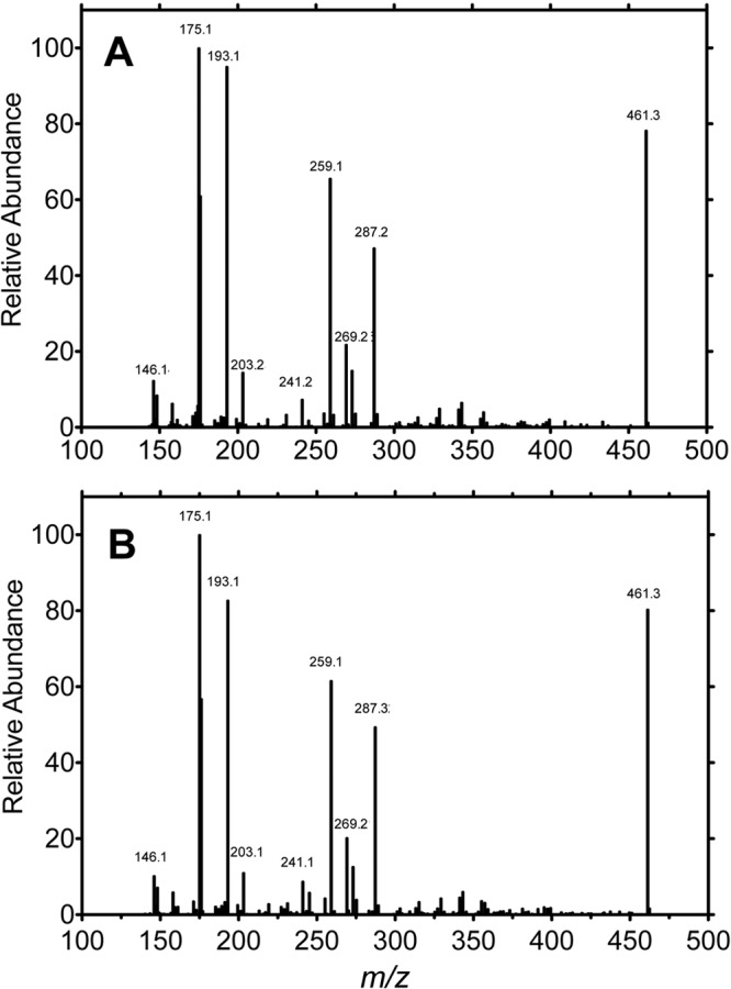 FIGURE 11.