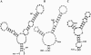FIGURE 8.