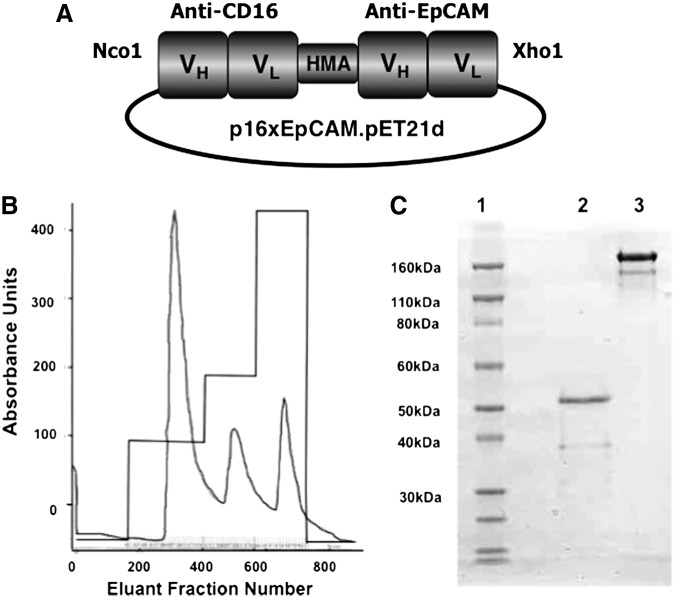 FIG. 1.