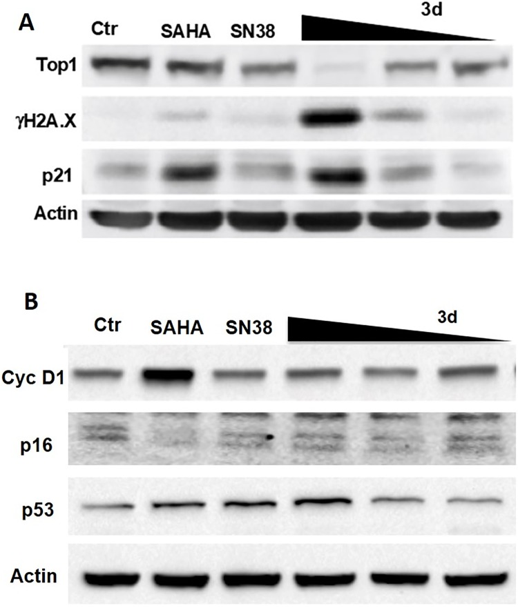 Fig 8