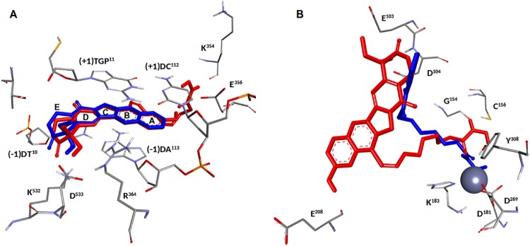 Fig 6