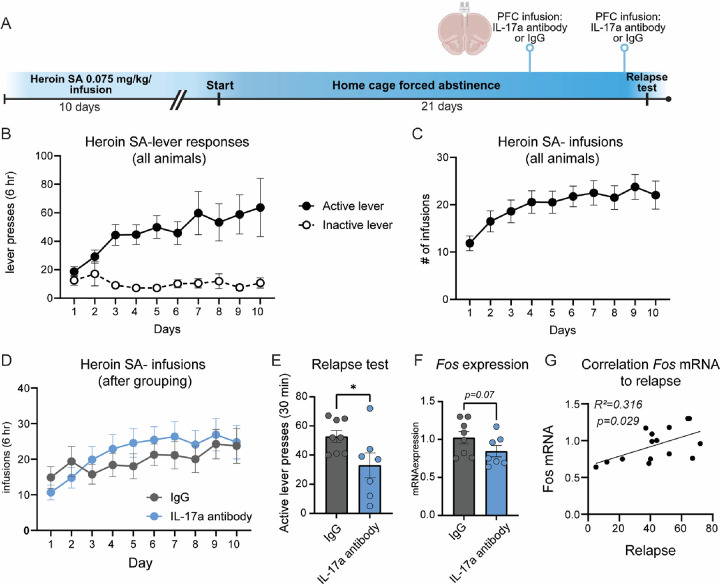 Figure 6: