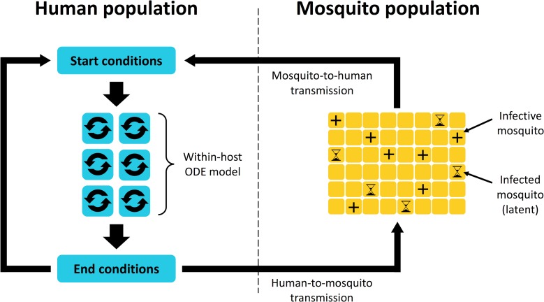 Fig 11