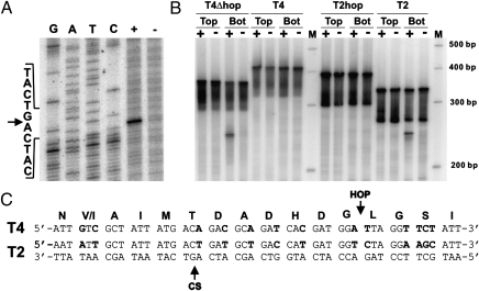 Fig. 4.