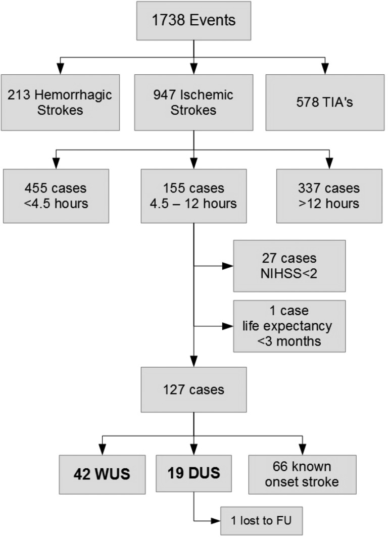 Fig. 1