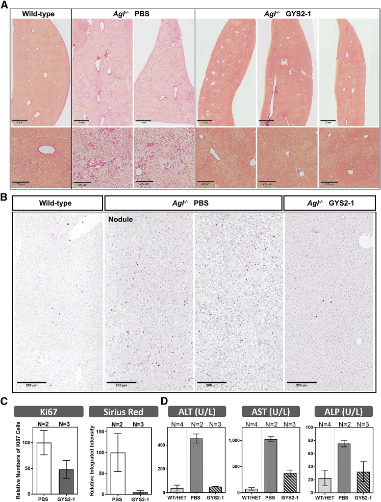 Figure 6