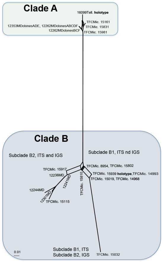 Fig. 2.