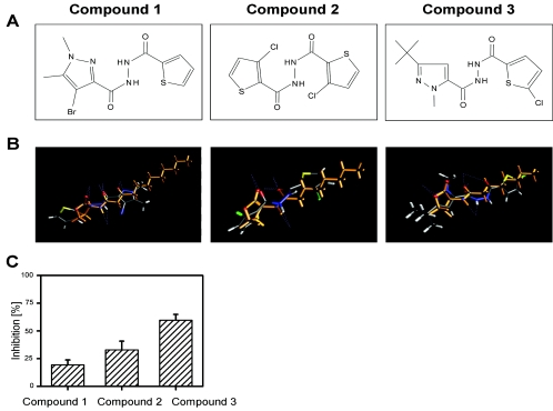 FIG. 1.