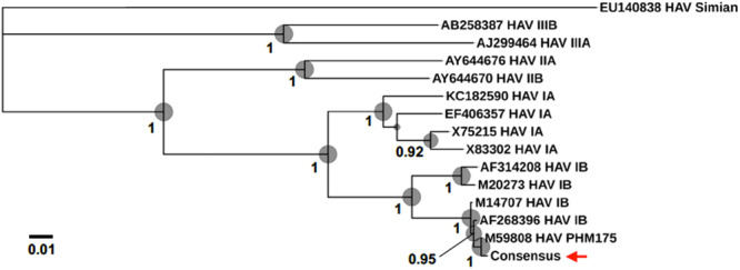 FIGURE 4