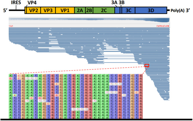 FIGURE 3