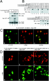 FIG. 4.