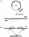 FIG. 1.