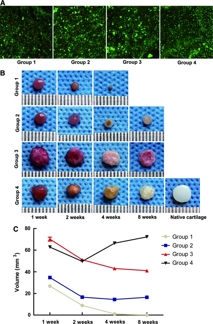 FIG. 3.